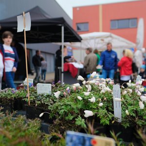 GartenIDEEN 2019, Messeimpression