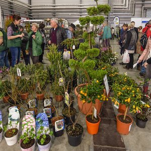 GartenIDEEN 2016, Messeimpression