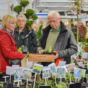 GartenIDEEN 2015, Messeimpression