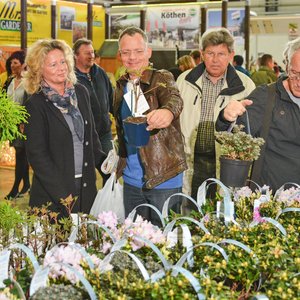 GartenIDEEN 2015, Messeimpression