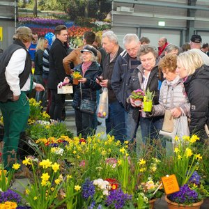 GartenIDEEN 2017