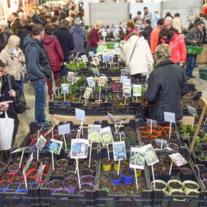 GartenIDEEN 2016, Messeimpression